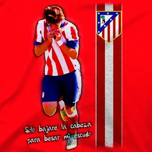 Besar Mi Escudo