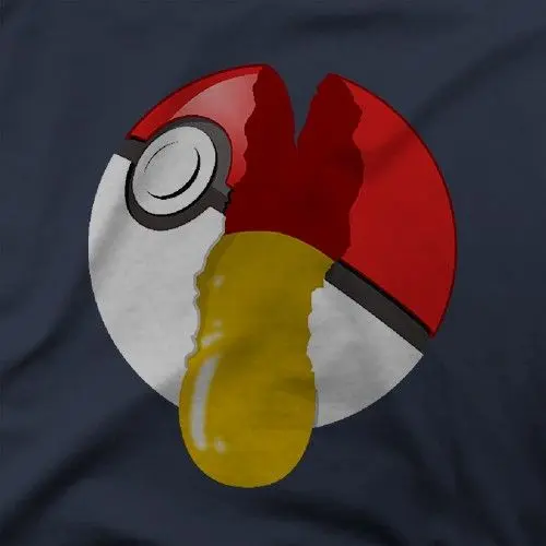 BROKEN POKEBALL