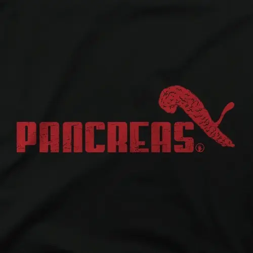 PANCREAS
