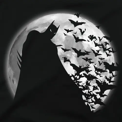 Shadow under the moon