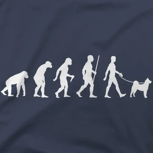Shiba Inu Evolution