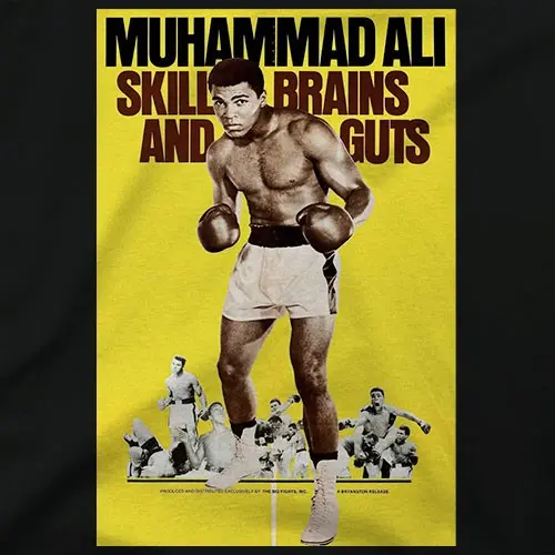 Skill brains