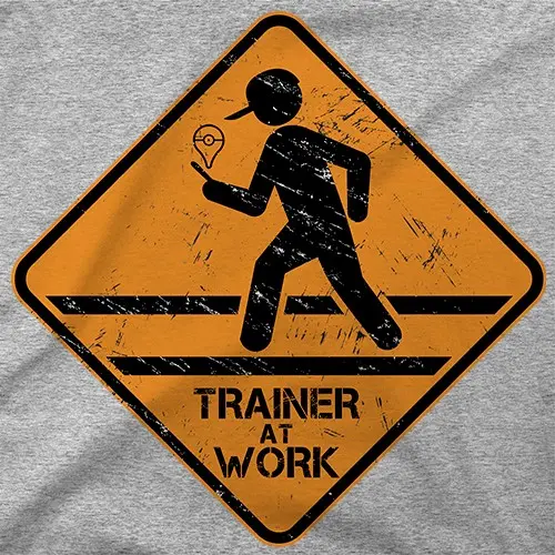 Trainer at Work