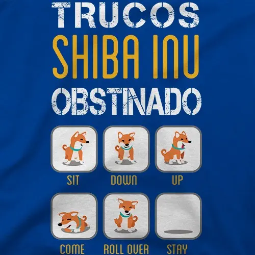 Trucos Shiba Inu obstinado
